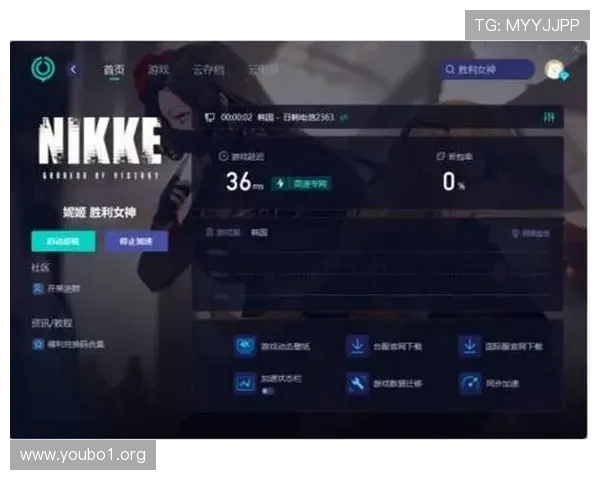 全面指南：如何进行高效的蒙特卡罗仿真设置与优化